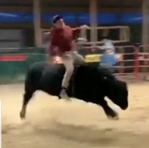 Meet your Posher, Junior